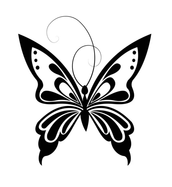 Black White Decorative Butterfly Creative Concept Linear Drawing Silhouette Isolated — Stock Photo, Image