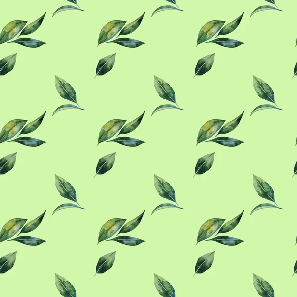 Nahtloses Muster Mit Grünen Blättern Sommer Blumen Seafoam Grün Floralen — Stockfoto