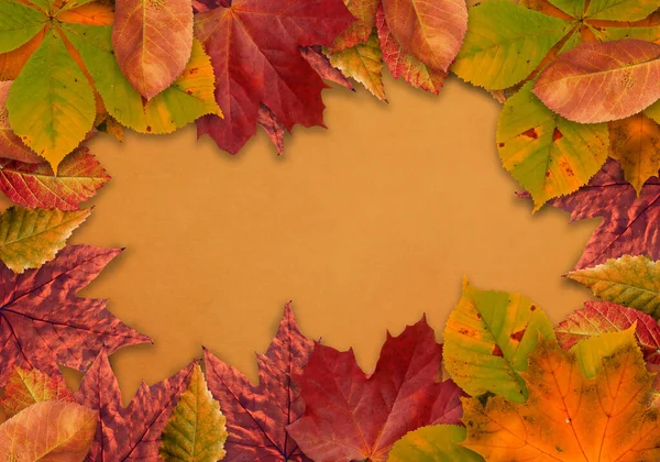 秋天的背景落叶在深色的木制背景上 文字的位置 很棒的派对邀请 季节性销售 秋季节日 感恩节快乐 — 图库照片