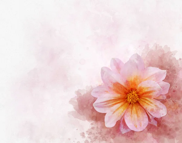 Dahlia Rose Illustration Fleurs Style Aquarelle Pour Fond Carte Invitation — Photo