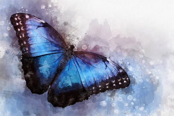 Vacker Blå Fjäril Målad Med Akvarell Vårens Tid Illustration — Stockfoto