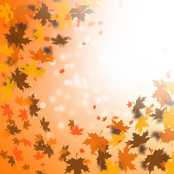 秋天的背景 有阳光和落叶 — 图库照片