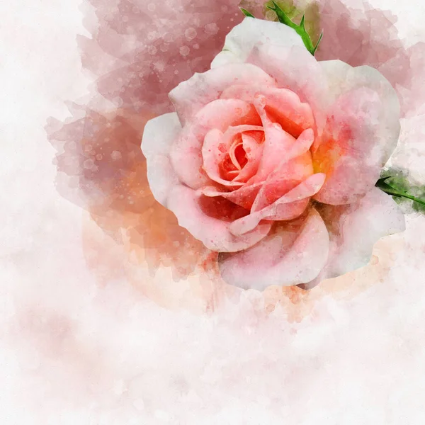 Desenho Aquarela Uma Flor Rosa Vibrante Arte Botânica Elemento Decorativo — Fotografia de Stock