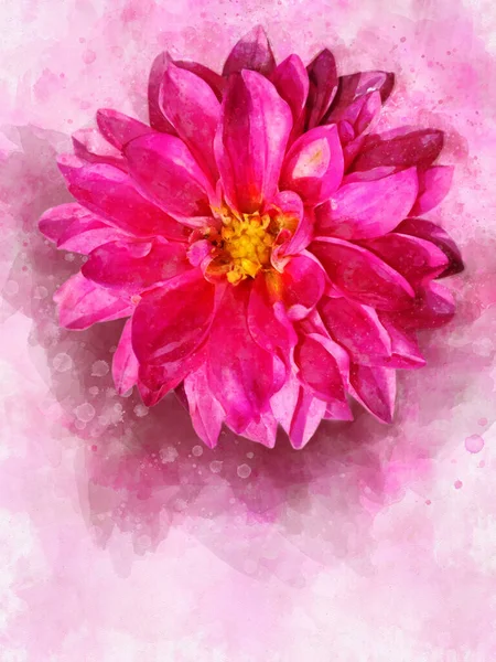 Różowy Dahlia Akwarela Styl Kwiat Ilustracja Tle Karta Zaproszenie Kartka — Zdjęcie stockowe