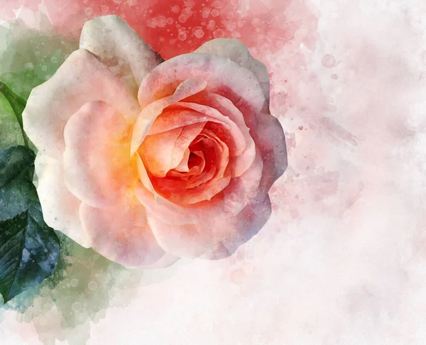 Akwarelowy Rysunek Wibrującego Różowego Kwiatu Róży Sztuka Botaniczna Element Dekoracyjny — Zdjęcie stockowe