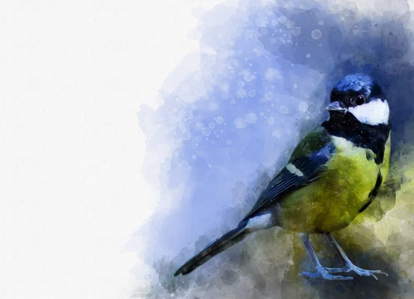 Blue Tit Watercolor Digital Painting Vintage Effect Bird Illustration — ストック写真