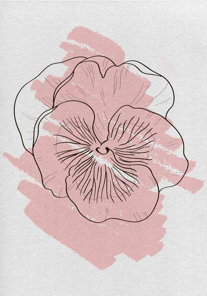 Desenho Linha Contínua Pansy Vector Planta Abstrata Estilo Minimalista Moda — Fotografia de Stock