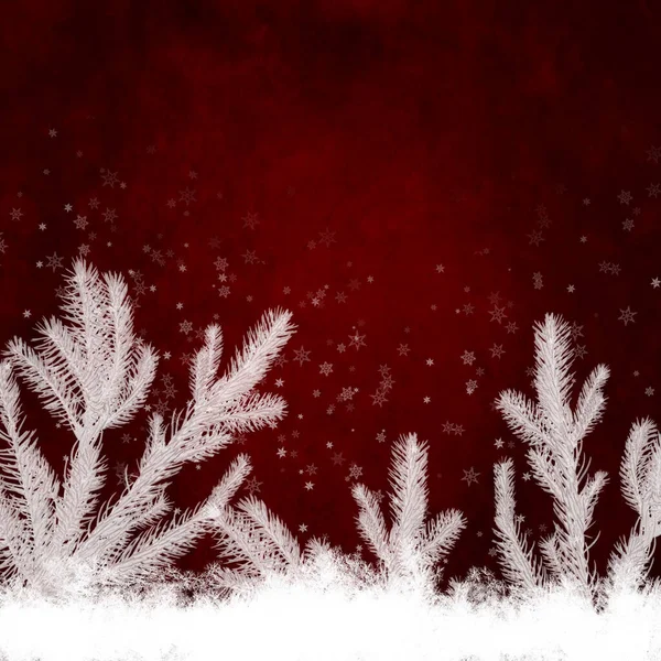 Evergreen Twigs Snowflakes Border Winter Background Christmas New Year Frame — Stock Photo, Image