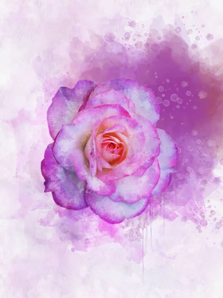 Ένα Σχέδιο Ακουαρέλας Ενός Ζωηρού Ροζ Τριαντάφυλλου Βοτανική Τέχνη Διακοσμητικό — Φωτογραφία Αρχείου