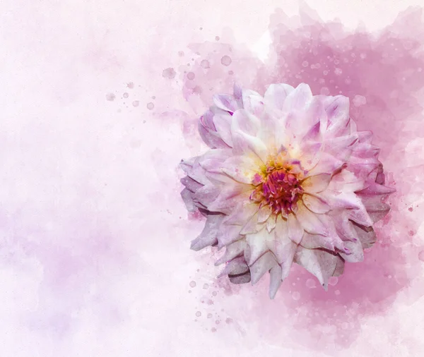 Dahlia Watercolor Style Flower Illustration Background Invitation Card Birthday Card — Stock Photo, Image