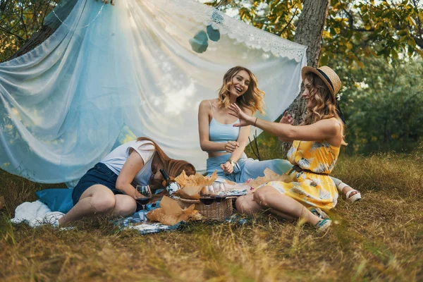Группа девушек друзей устраивает пикник на открытом воздухе. Они веселятся. — стоковое фото