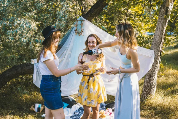 Gruppe von Freundinnen macht Picknick im Freien — Stockfoto