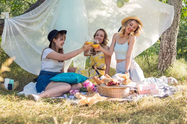 Группа Девушек Друзей Устраивает Пикник Открытом Воздухе Веселятся Пьют Коктейли — стоковое фото