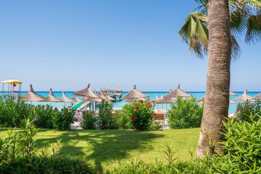 Palmiye ve tropikal plaj. Turizm Tatil kavramı.