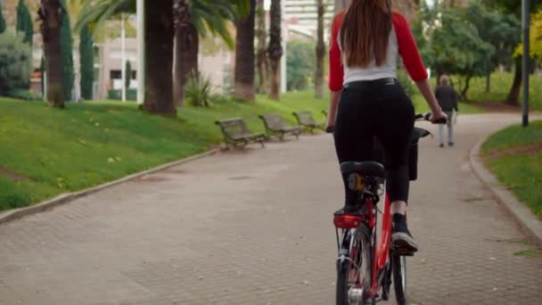 야자수 옆 pedalling 젊은 여자 또는 여자 승마 자전거 — 비디오