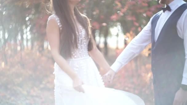Romantiskt bröllop ögonblick, kärleksfull nya par utomhus. — Stockvideo