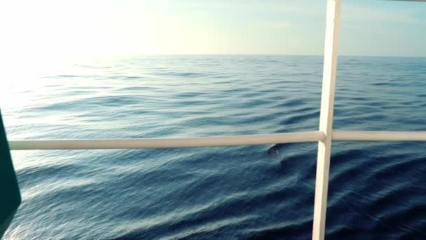 Blick vom Schiffsdeck auf das offene Meer. Schiff fährt. — Stockvideo