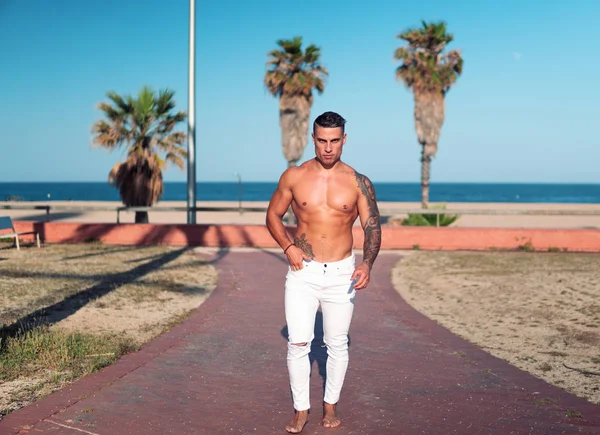 Tattooed bodybuilder sexy male coach at the beach.