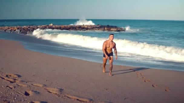 Tatuerade bodybuilder sexig manlig tränare på stranden. — Stockvideo