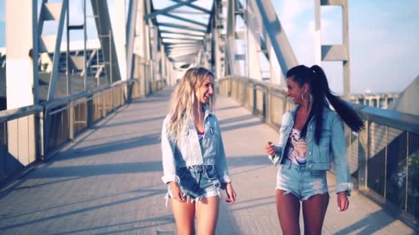 Lyckliga bästa vänner eller systrar som går och pratar — Stockvideo