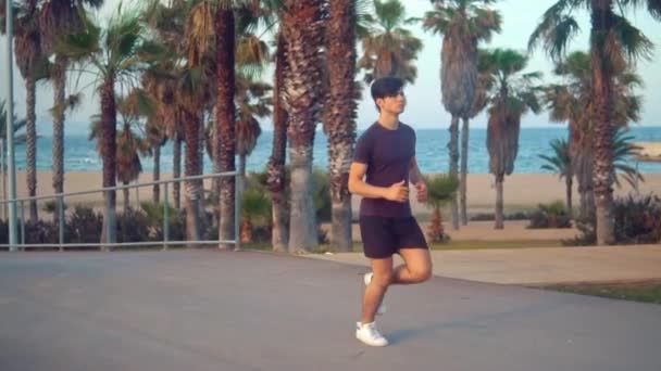 Молодой спортсмен бегает в парке пальм рядом с пляжем — стоковое видео