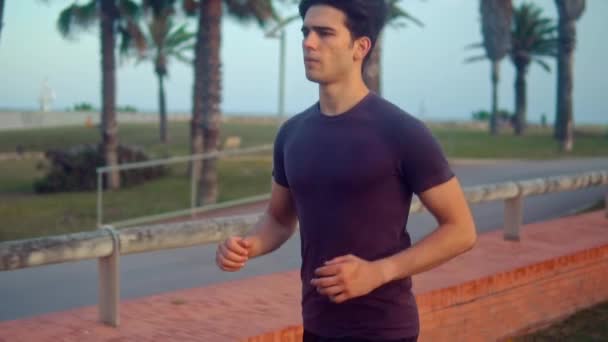年轻的运动男子在海滩附近的棕榈树公园跑步 — 图库视频影像