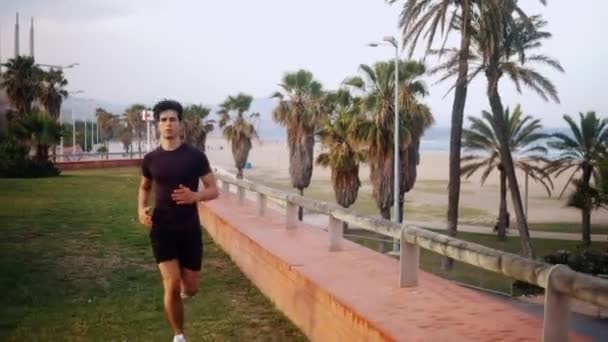 Jovem atlético correndo no parque da palmeira perto da praia — Vídeo de Stock