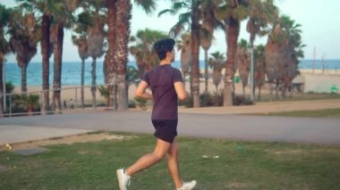 Plaja yakın palmiye ağacı parkta çalışan genç atletik adam