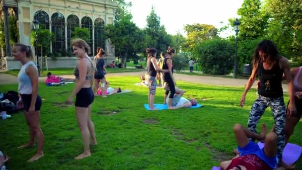A group lesson on acroyoga which takes place in park — Stock Video