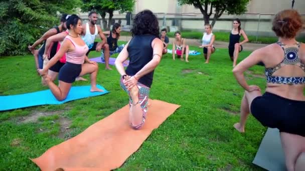 Skupinová lekce o akroyoga, která se odehrává v parku — Stock video