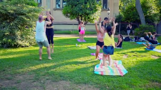 Una lección de grupo sobre acroyoga que tiene lugar en el parque — Vídeos de Stock