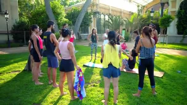 Une leçon de groupe sur l'acroyoga qui se déroule dans le parc — Video