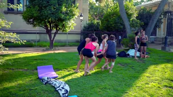 Una lección de grupo sobre acroyoga que tiene lugar en el parque — Vídeos de Stock