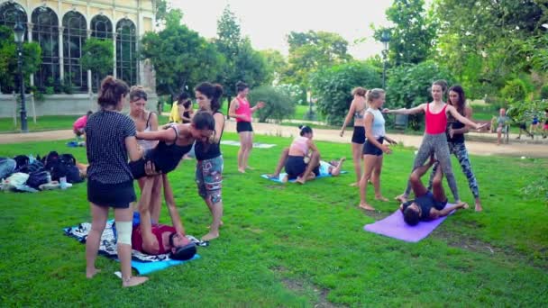 Uma lição de grupo sobre acroyoga que ocorre no parque — Vídeo de Stock