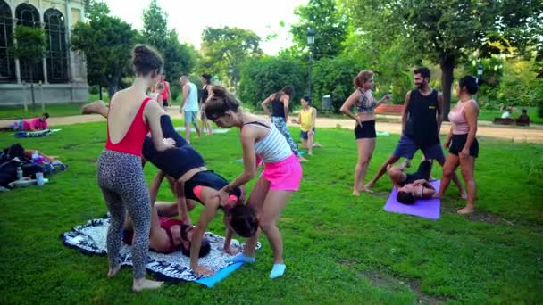 A group lesson on acroyoga which takes place in park — Stock Video