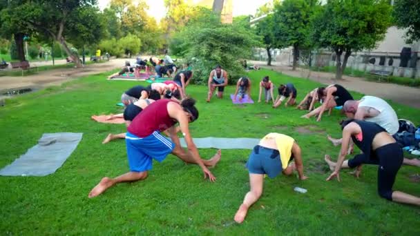 Skupinová lekce o akroyoga, která se odehrává v parku — Stock video