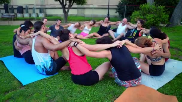 Lekcja grupowa na akroyoga, która odbywa się w parku — Wideo stockowe