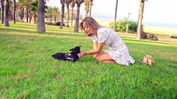 Pequeño perro llamado Artur con el propietario relajándose en la hierba — Vídeos de Stock