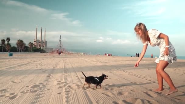 Kis kutya nevű Artur a tulajdonos, fiatal nő, játszik a strandon — Stock videók