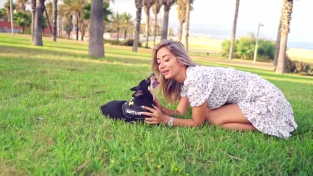 Pequeno cão chamado Artur com proprietário relaxante na grama — Vídeo de Stock