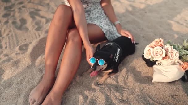 Μικρό σκυλί που ονομάζεται Artur με ιδιοκτήτη, νεαρή γυναίκα, παίζει στην παραλία — Αρχείο Βίντεο