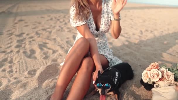 Piccolo cane di nome Artur con proprietario, giovane donna, che gioca sulla spiaggia — Video Stock