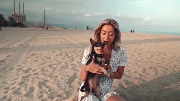 Mały piesek o imieniu Artur z właścicielką, młodą kobietą, bawiący się na plaży — Wideo stockowe