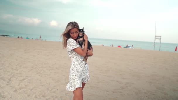 Cão pequeno chamado Artur com dono, jovem, brincando na praia — Vídeo de Stock