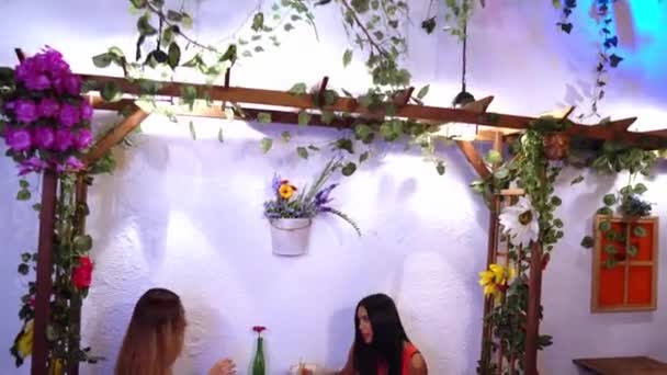 İki çekici genç bayan arkadaş birlikte kokteyl içiyorlar. — Stok video