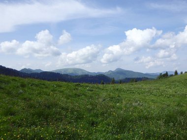 Alpin çayırlar (Lubochna Vadisi), Slovakya, Velka Fatra (büyük Fatra), Batı Karpatlar,