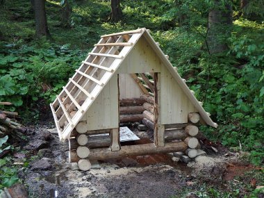 Forrest, ahşap evin ahşap bir evde inşaatı