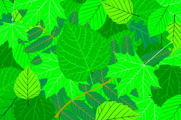 Stromové Listí Zelená Přírodní Pozadí Vektor — Stockový vektor