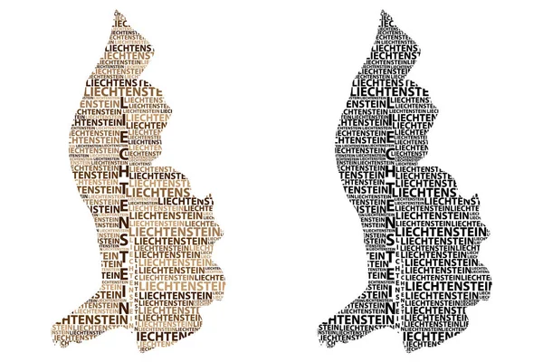 Mapa Szkic Liechtenstein Litery Tekstu Liechtenstein Kształt Kontynentu Mapa Księstwa — Wektor stockowy