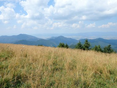 Dağ çayırları, (Borisov - azam Fatra sıra Slovakya)